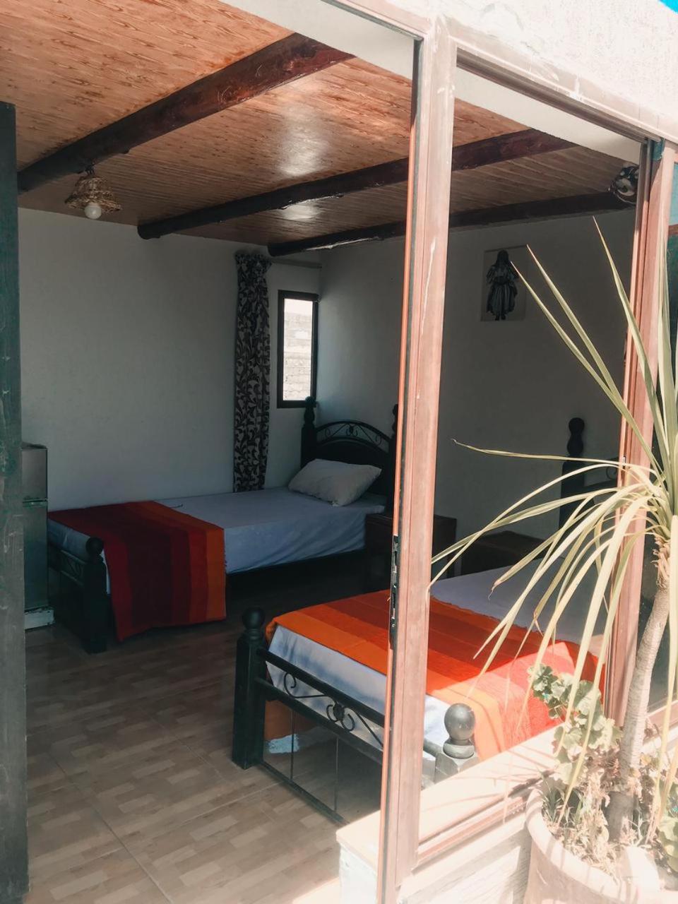 Tafoukt Surf Hostel טגזוט מראה חיצוני תמונה